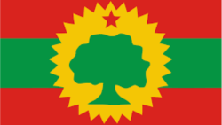 የቀጠለው የኦነግ ውዝግብ