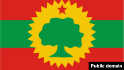 Las religiosas de la orden Madre Teresa de Calcuta, expulsadas de Nicaragua, fueron recibidas en Costa Rica.&nbsp;Foto Houston Castillo, VOA.