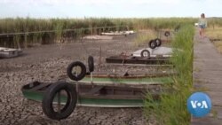 ለውጢ ክሊማ ኣብ ቀላይ ጫድ ንዘሎ ቅልውላው የጋድድ ምህላው ሓድሽ ዝወጸ ጸብጻብ ሓቢሩ