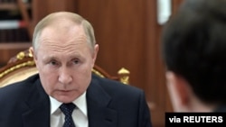 ولادیمیر پوتین، رئیس جمهوری روسیه.