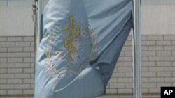 资料照 - 世界卫生组织(WHO)旗帜。该照片是美联社在中国北京拍摄的有关视频的截屏。美联社提供。