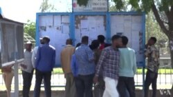 ለሥራ ፈጣሪዎች በቂ ድጋፍ እንደማይሰጥ ወጣቶች ገለፁ 