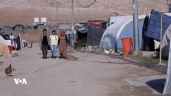 70% Rûniştvanên Şengalê di Kampan De Ne Û Nikarin Vegerin Şengalê