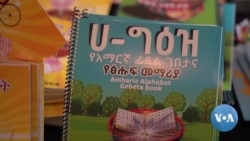 መጽሃፍትን ለትውልደ-ኢትዮጵያዊያን ህጻናት ፣ ቆይታ ከታቲያና ክፍሌ ጋር 