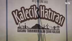 Türkiyədə Üzüm Festivalı 