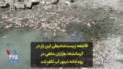 فاجعه زیست‌محیطی این بار در کرمانشاه: هزاران ماهی در رودخانه دینور آب تلف شد