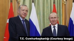 Cumhurbaşkanı Recep Tayyip Erdoğan ve Rusya Devlet Başkanı Vladimir Putin