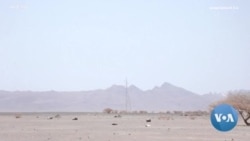 በአፋር ክልል በድርቅ እና ግጭት ምክኒያት ሕፃናት እየሞቱ ነው - ነዋሪዎች 