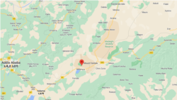 Ajjeechaa Qaama Nageenya Fantaallee Ilaalchisee Gabaasa Dhiyaate Caqasaa