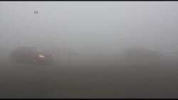 سالانه پنج و نیم میلیون نفر در جهان بر اثر آلودگی هوا می میرند