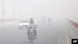 印度新德里街头一名摩托车骑手在雾霾中行驶。（2017年11月8日）