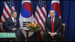 美国观察 2019年4月11日