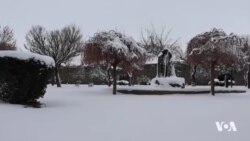 Amed bi Berfa Sipî Xemilîye