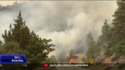 Zjarret në Kaliforni, mijëra njerëz largohen nga shtëpitë e tyre