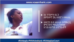 እነ ንግሥት ይርጋ ለሦስተኛ ጊዜ ለብይን ተቀጠሩ