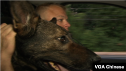 迪克森警士和Rocko在警车上(VOA卫视张松林拍摄)