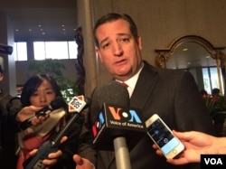 德州联邦参议员克鲁兹会见蔡英文后接受媒体采访 (2017年1月8日，美国之音李逸华拍摄)