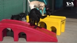 სტუდია ვაშინგტონი, 20 თებერვალი, 2020