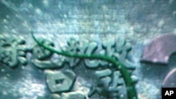 国民党电视竞选广告(定格)