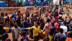 የጌዴዖ ተፈናቃዮች