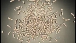 Citra Polisi di Masyarakat Amerika (1)