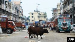 ኒው ደሊ (ፎቶ ፋይል፣ ኤኤፍፒ)