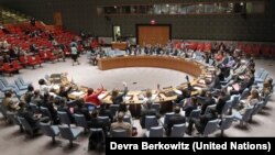 联合国安理会投票（2014年5月27日）
