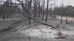 Последиците од пожарите ќе се чувствуваат 50 години