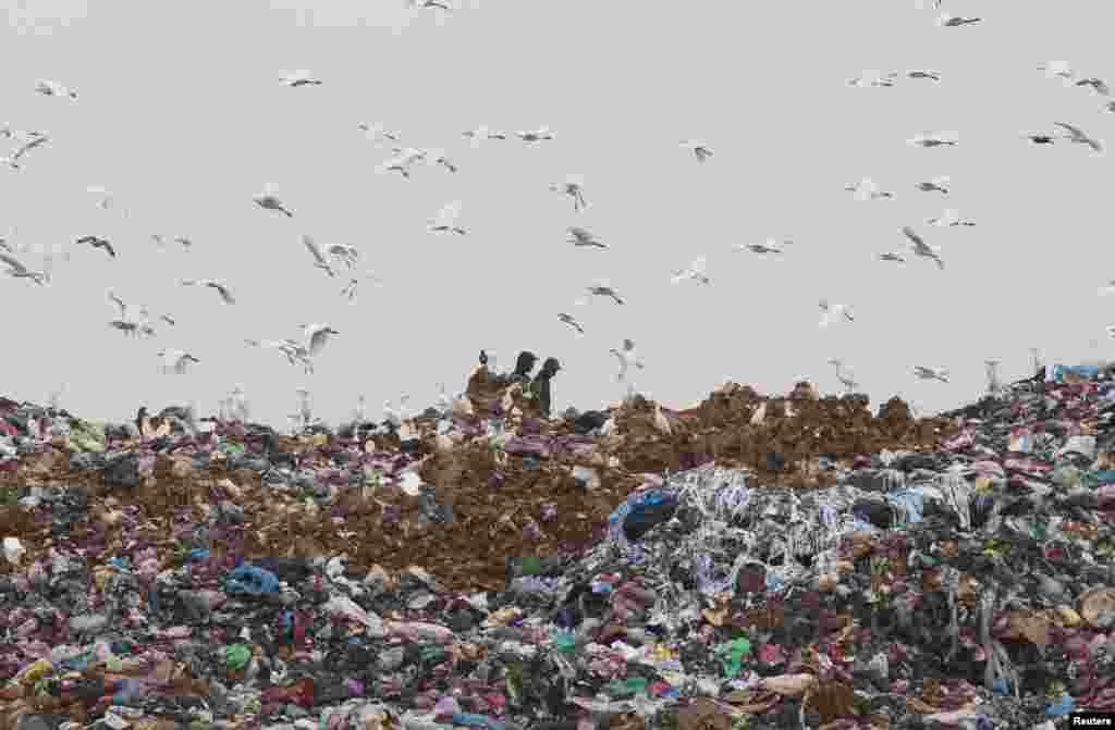 Para pemulung mengumpulkan barang-barang daur ulang di tempat pembuangan sampah kota Ouled Fayet, sebelah barat ibukota Algiers, Aljazair.