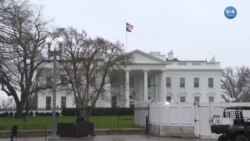 Washington Yoğun Bir Haftayı Geride Bıraktı