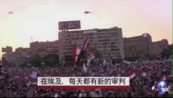 埃及铁腕镇压穆兄会，每天有新审判