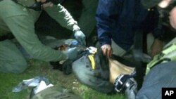 جوهر سارنایف هنگام دستگیری مجروح شد