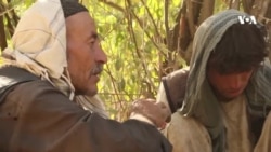 ادعای لت‌‌وکوب معتادان دایکندی از سوی پولیس