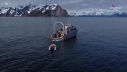 Գիտնականները հետազոտում են օվկիանոսի թթվայնացման խնդիրները ստորջրյա դրոնի միջոցով