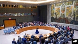 UN General Assembly Security Council