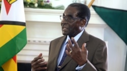 Ndimyake Mwakalyelye Reports on President Mugabe's ZBC Interview