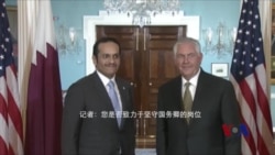 国务卿蒂勒森否认打算辞职