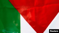 巴勒斯坦的旗帜