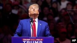 Election 2024 Trump Photo Gallery