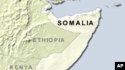 Saudi Arabia Resumes Livestock Trade with Somalia