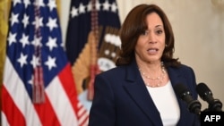 资料照片：美国副总统卡马拉·哈里斯。（2023年8月29日）