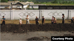 호주 인권단체 '워크프리재단'이 최근 발표한 '2018 세계노예지수' 보고서는 '현대판 노예' 인구 비율이 가장 높은 나라로 북한을 지목했다. 보고서에 실린 북한 노동자들의 사진으로 철로 주변에 떨어진 석탄을 모으고 있다.