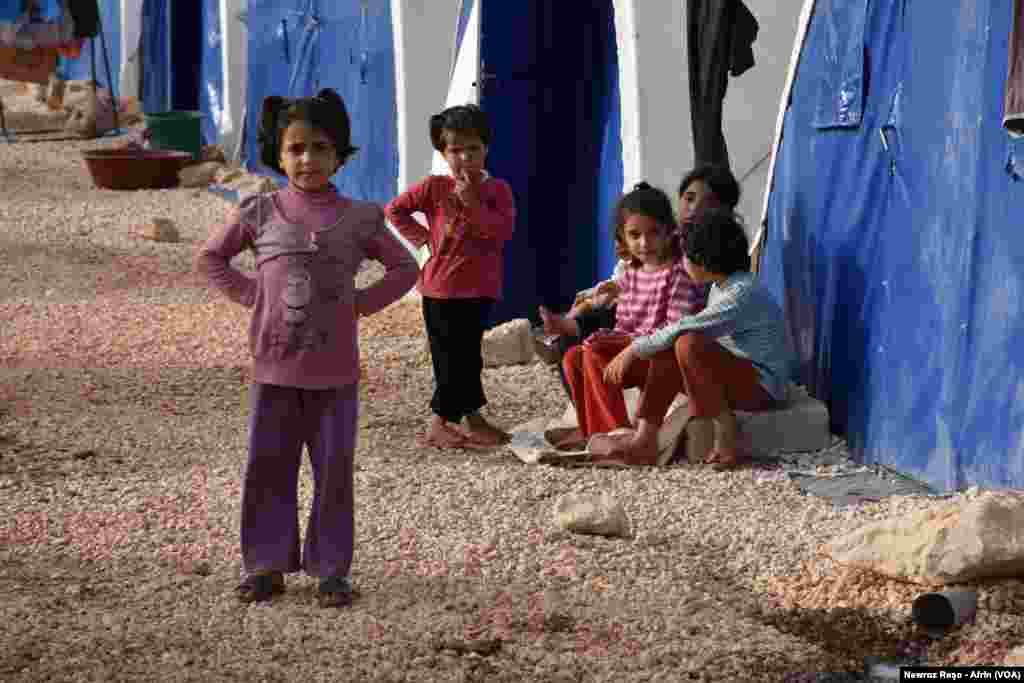 Rewşa nebaş ya Zarokên Efrînî yên li penageha Şehba dimînin