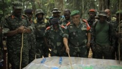 Sango ya Mokili Lelo: Mokambi ya mampinga ma Uganda na oyo ya RDC bakomi na Beni