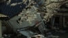 Cherry blossoms frame a house tumbled by the 2011 Japan earthquake and tsunami. 