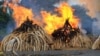 Ivory piles burn at Kenya’s Nairobi National Park, April 30, 2016. (J. Craig/VOA)