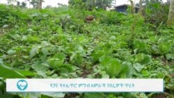 ካለማዳበሪያ የሚያድጉ ምርቶች ተፈላጊ የሆኑት ለምንድነው?