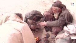 انتقاد مراکز تداوی معتادان از عدم همکاری دولت