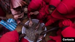 Faayilii - Barattoota Somaaliyaa qarqaarsa nyaataa WFP'n keennu argatan 