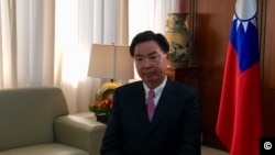 台湾外交部部长吴钊燮2019年1月28日接受美国之音采访（美国之音海伦摄影）